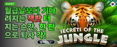 데일리 릴로드 충전 보너스 promotion