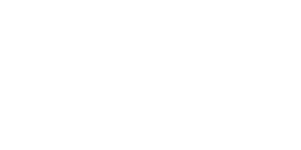 프라임 윈 logo